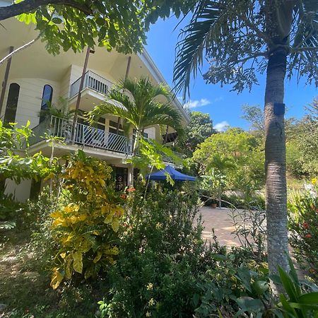 Villa Pura Vida Matapalo  Exteriör bild